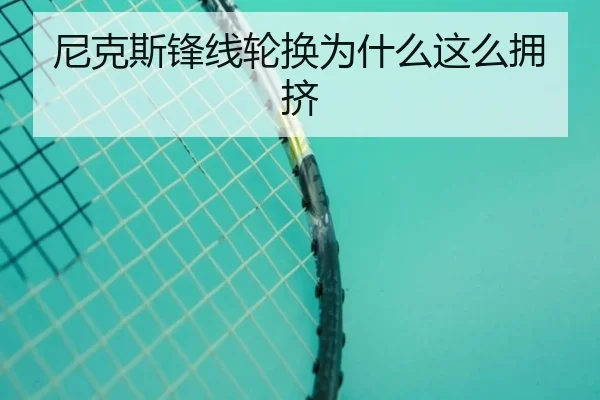 尼克斯锋线轮换为什么这么拥挤